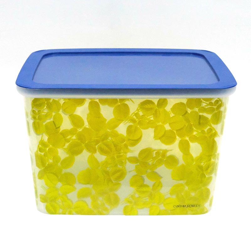 Pag-uuri ng Box Injection Molding Sa Mold Label